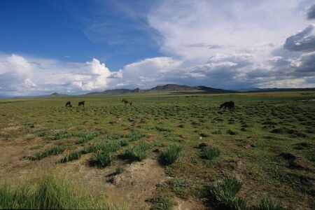 Mongolians Team Up to Preserve Huge, Grassy Commons Image